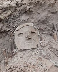 کشف ده ها مومیایی در یک محوطه تاریخی واقع در پرو