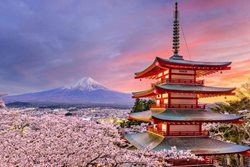 در سفر به ژاپن از کدام شهرها دیدن کنیم؟