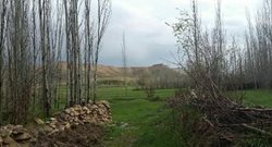 روستای اکنلو یکی از روستاهای زیبای استان همدان به شمار می رود