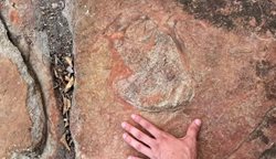 کشف نقاشی های صخره ای 9 هزار ساله در میان ردپای دایناسورها