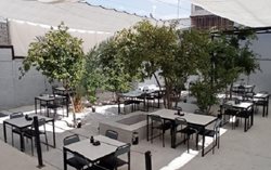 پرطرفدارترین کافه های یزد در مهر 1404: جایی برای گفتگو و خلاقیت