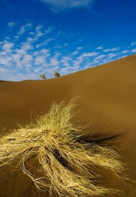 تور-کویر-مصر-1392