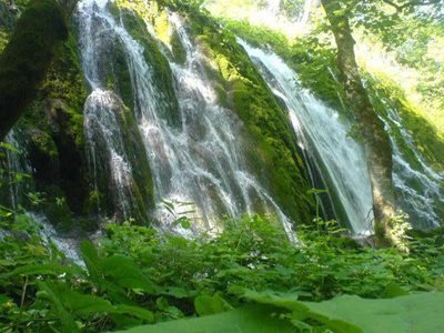 تور-یکروزه-آبشارهای-خزه-ای-اوبن-سنگده-جمعه-29-مرداد-5727