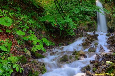 تور-یکروزه-آبشارهای-خزه-ای-اوبن-سنگده-6930