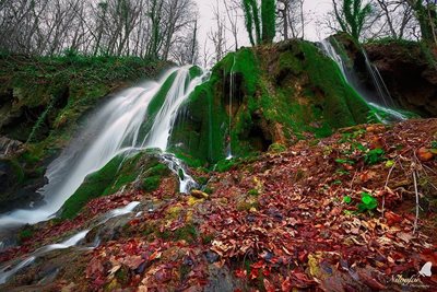 تور-یکروزه-آبشارهای-خزه-ای-اوبن-سنگده-6932