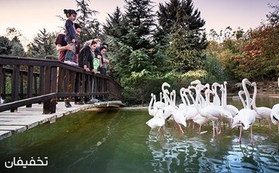 75% تخفیف لحظاتی پر از آرامش در بازدید از باغ پرندگان تهران