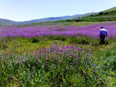 گرمی-روستای-خان-کندی-5165