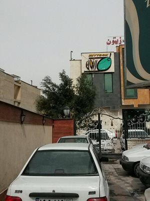 شیراز-رستوران-زیتون-3681