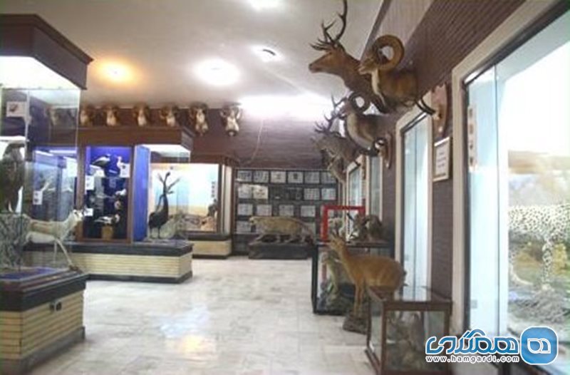 موزه بزرگ تاریخ طبیعی خراسان