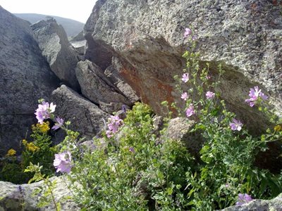 کوه و آب معدنی اوکوز داغ