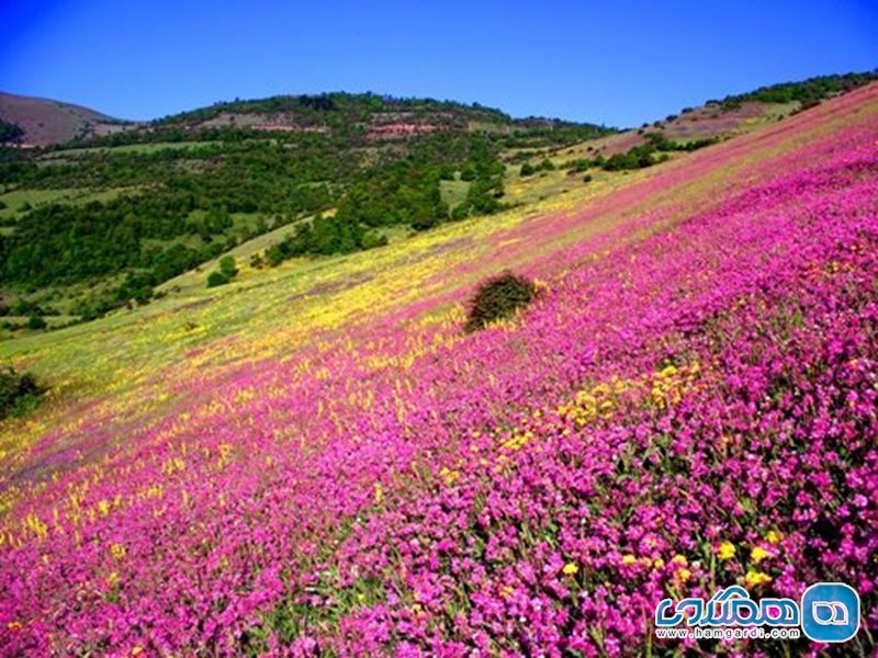 روستای جنت رودبار