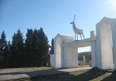 قائم-شهر-پارک-جنگلی-تلار-8764