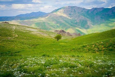 دیواندره-کوه-چهل-چشمه-7634
