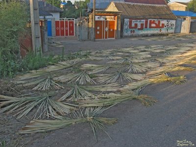 روستای گلشن