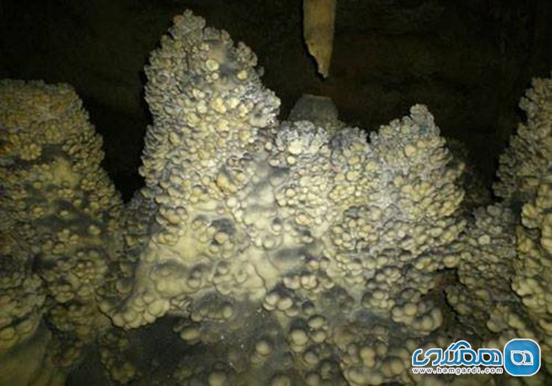 غار کله کفتری