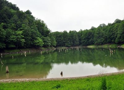 ساری-دریاچه-چورت-17066
