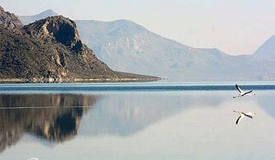 نی-ریز-دریاچه-بختگان-20621