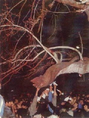 درخت خونبار زرآباد الموت