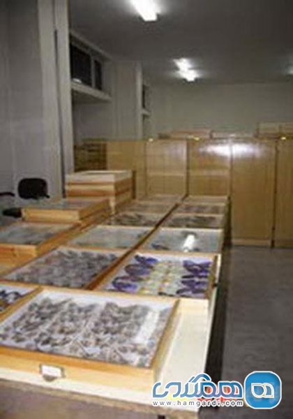 موزه حشرات هایک میرزایانس