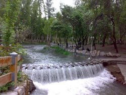 دریاچه پارک وکیل آباد