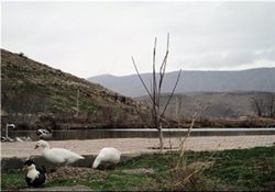 روستای سراب هرسم