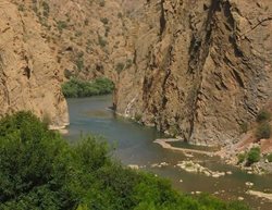 رودخانه سیروان