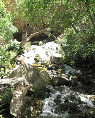 سمیرم-آبشار-آب-ملخ-37021