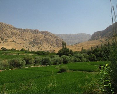باغ-ملک-منطقه-گردشگری-رباط-37854