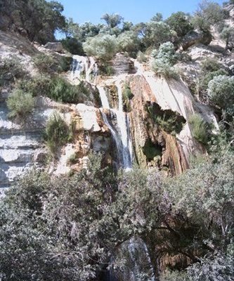 یاسوج-آبشار-تنگ-تامرادی-39165