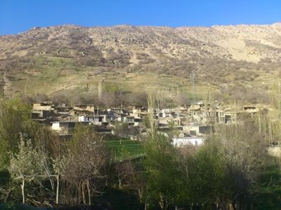 یاسوج-روستای-چشمه-چنار-39274