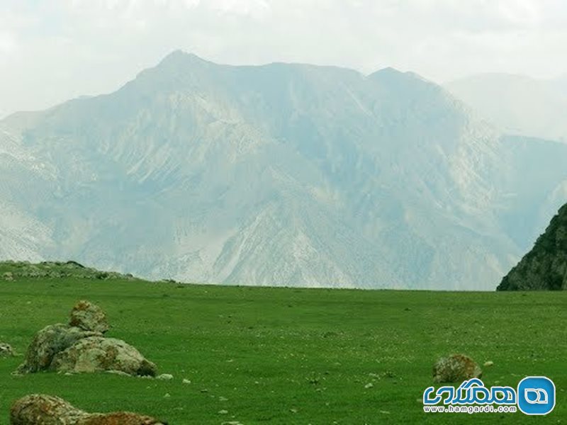 کوه خشواش