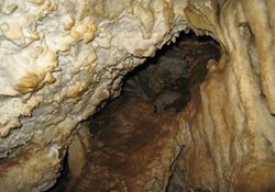 غار آسیلی