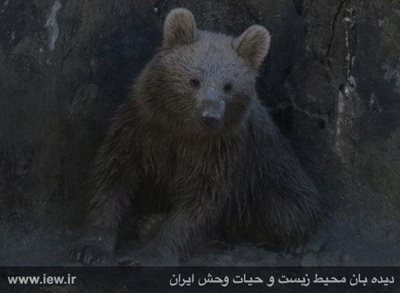 لردگان-منطقه-حفاظت-شده-سبزکوه-111349