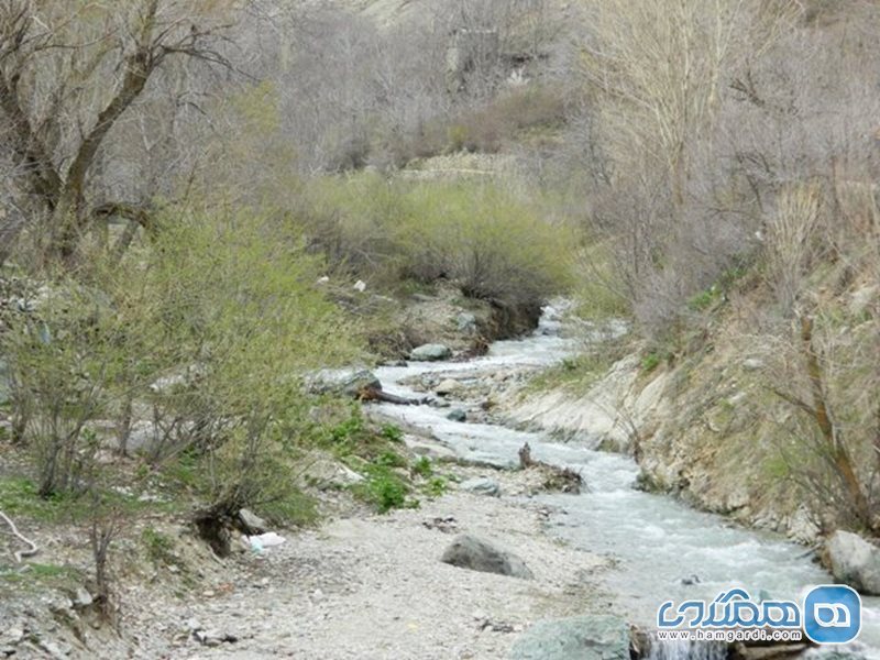 روستای باغ گل