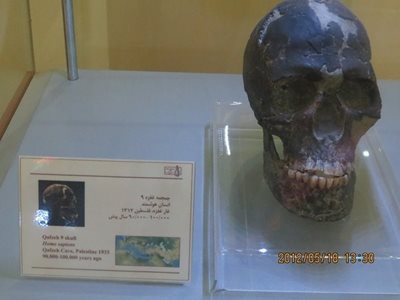 کرمانشاه-موزه-پارینه-سنگی-زاگرس-45337