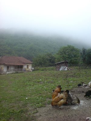 قائم-شهر-روستای-ییلاقی-انارم-47026