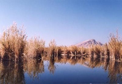 کازرون-دریاچه-پریشان-47260