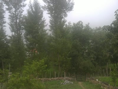 چالوس-روستای-دلیر-48625