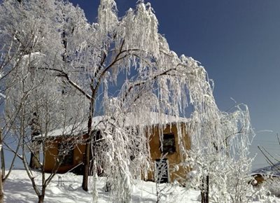 علی-آباد-کتول-روستای-جنگلی-افراتخته-51371
