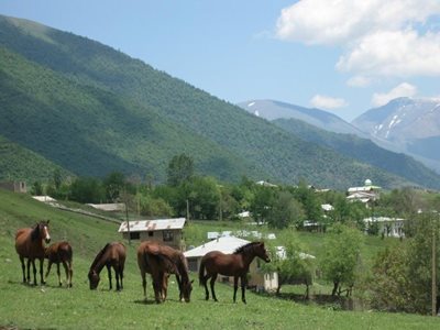چالوس-روستای-دلیر-51425