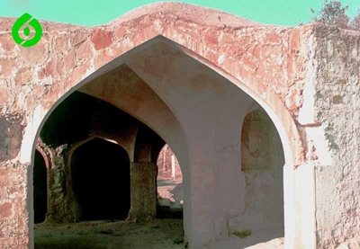 دهدشت-شهر-تاریخی-بلاد-شاپور-56702