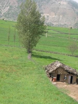 رودبار-روستای-ناش-57422