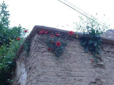 کرمانشاه-روستای-شالان-57525