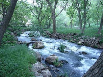 کرمانشاه-روستای-شالان-57530