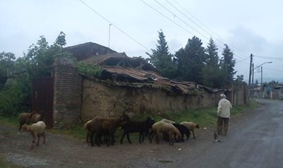 علی-آباد-کتول-روستای-نوده-کتول-59126