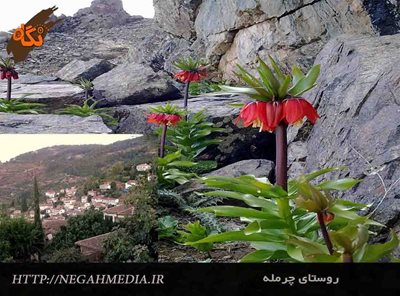 سنقر-روستای-گردشگری-چرمله-علیا-59481