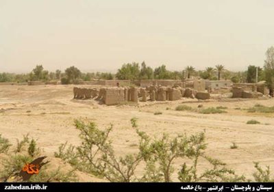 ایرانشهر-باغ-خالصه-بمپور-61253