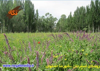 شهرضا-روستای-اسفرجان-68521
