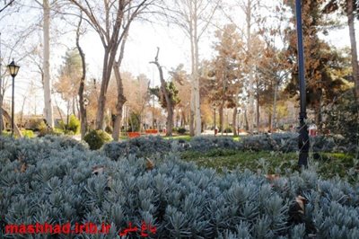 مشهد-باغ-ملی-69814