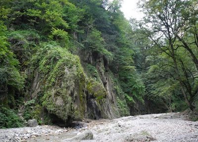 گرگان-آبشار-باران-کوه-70833